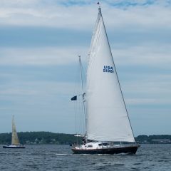 2012 Rockland to Castine Regatta